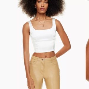 Aritzia Wilfred Shine Bustier